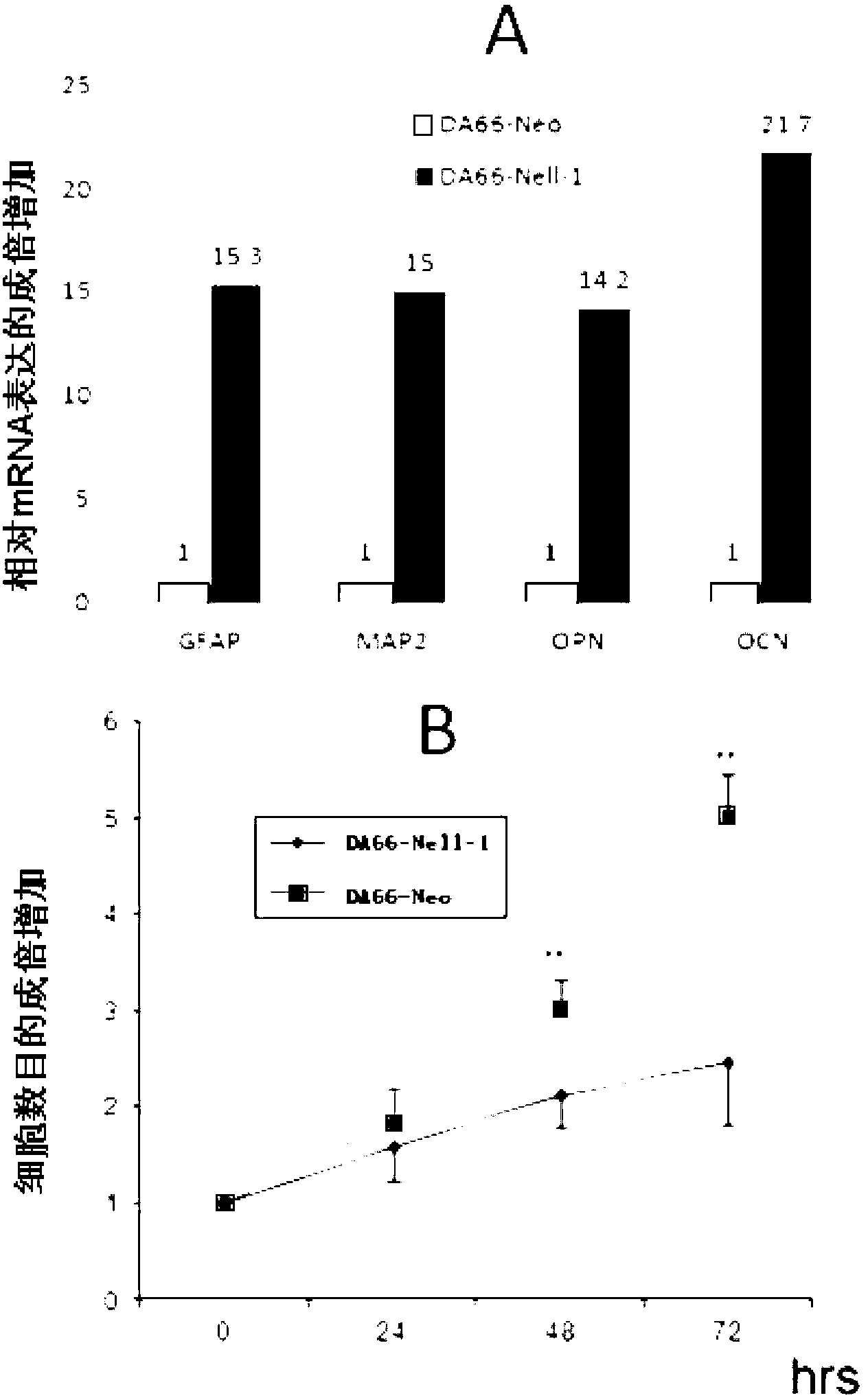 Gene medicine for promoting differentiation of tumor stem cells and applications thereof