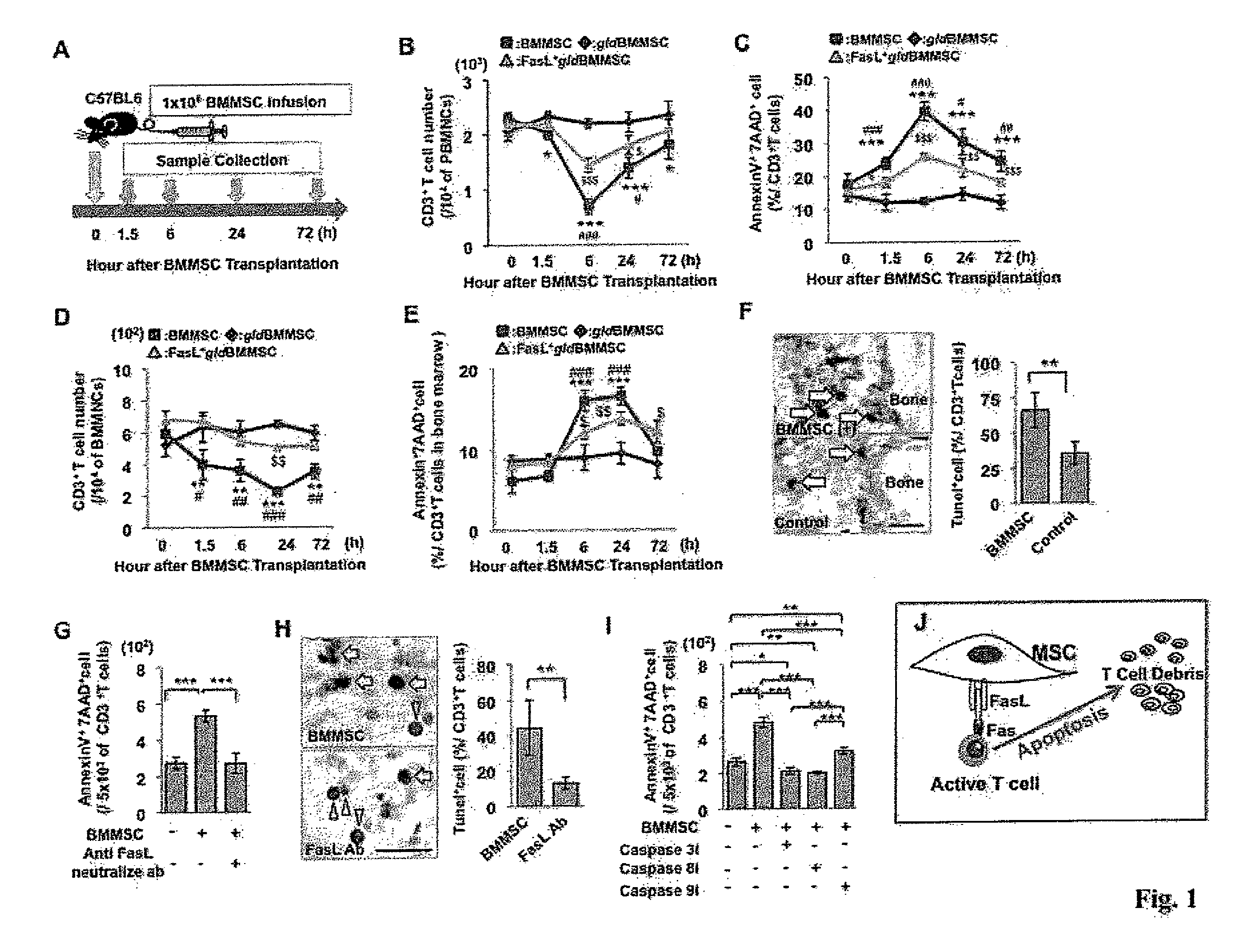 Compositions and Treatment Methods for Mesenchymal Stem Cell-Induced Immunoregulation