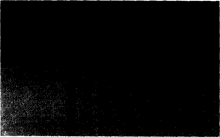 Manufacturing process of MEMS impression template based on wet etching