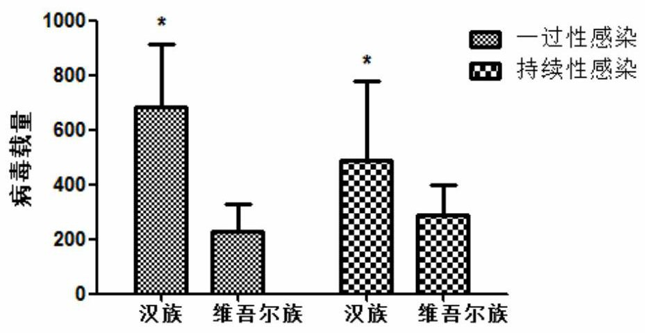 Detection method related to human papilloma virus infection immune response and application