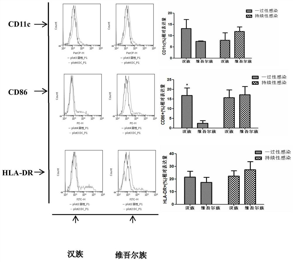 Detection method related to human papilloma virus infection immune response and application
