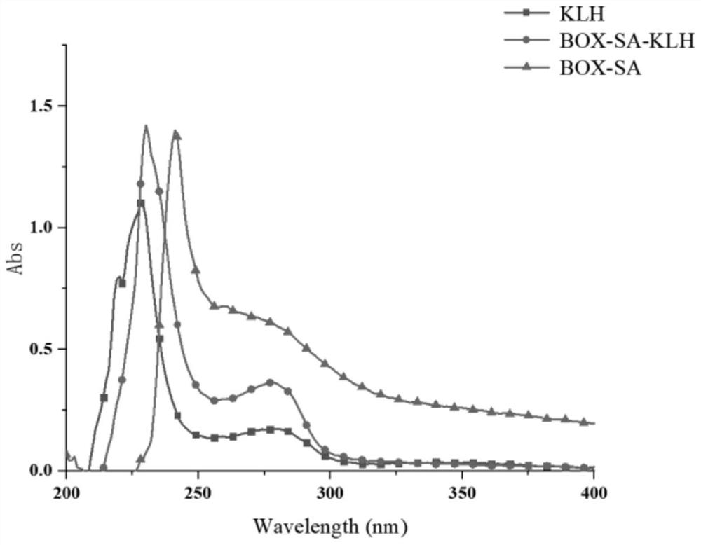 Bromhexine hapten, bromhexine artificial antigen, bromhexine antibody and preparation method and application of bromhexine artificial antigen