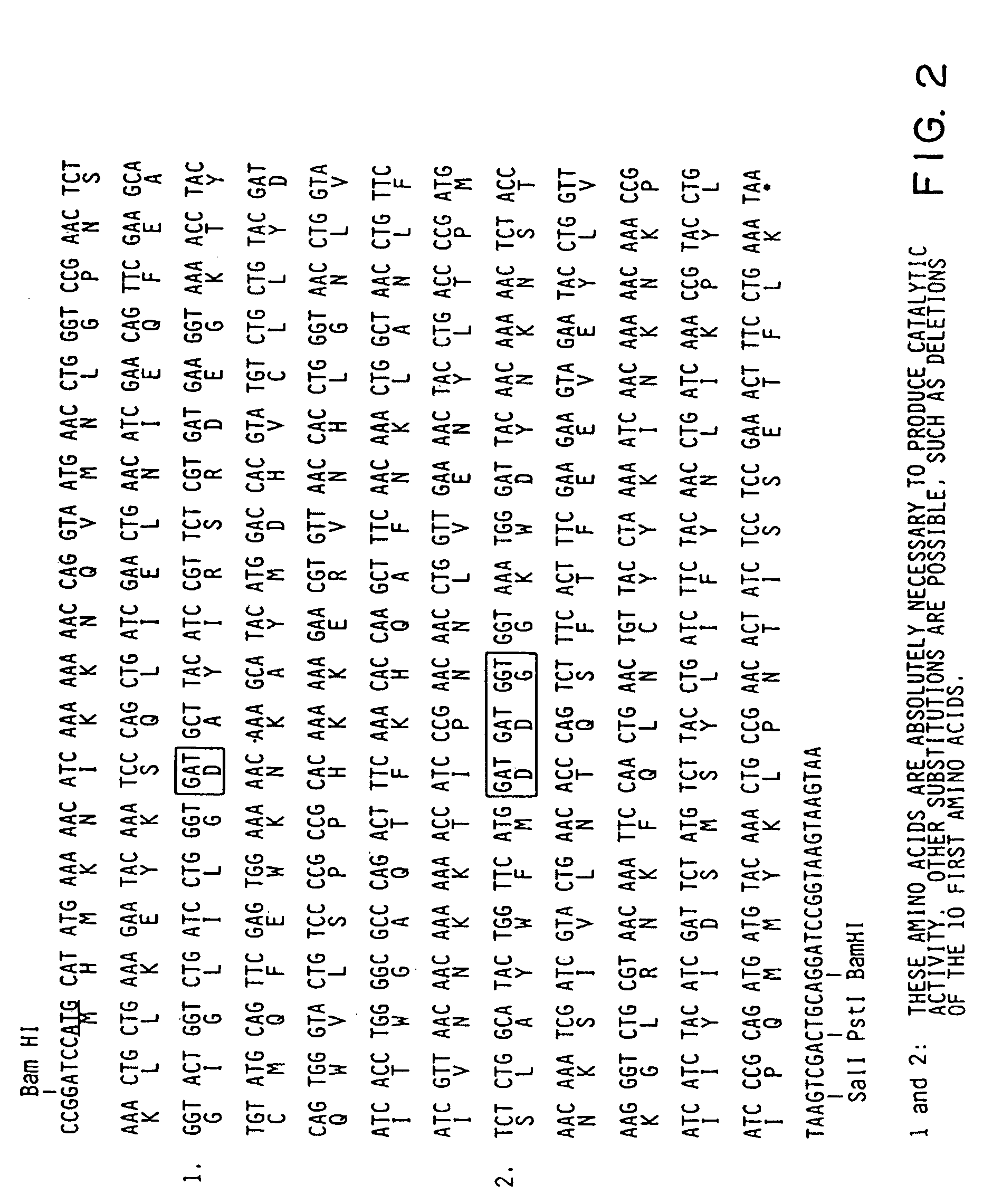 Nucleotide sequence encoding the enzyme I-SceI and the uses thereof