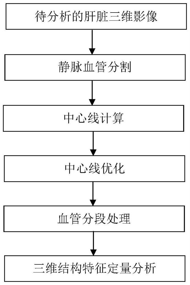 Quantitative analysis method and device for three-dimensional structural characteristics of liver vein blood vessel, computer equipment and storage medium