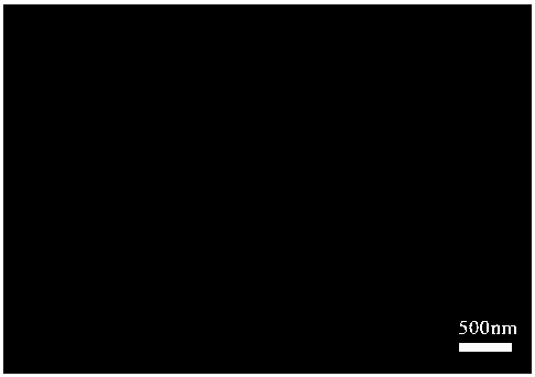 A kind of preparation method of core-shell structure visible light catalyst