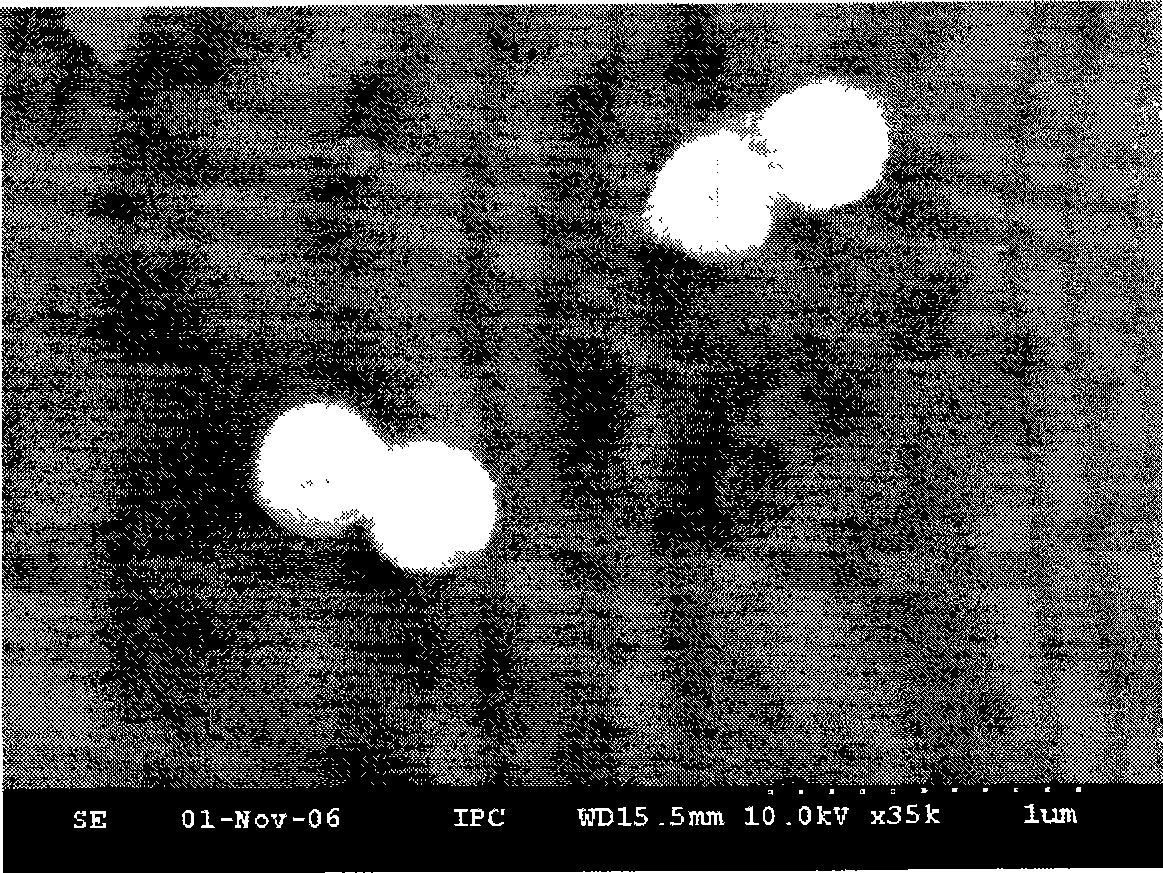 Quasi uncharged solvent resistance complex function ball and method for making same