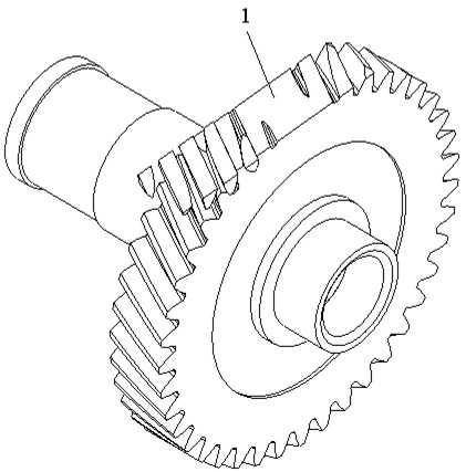 Virtual detection method for tooth error of involute bevel gear model