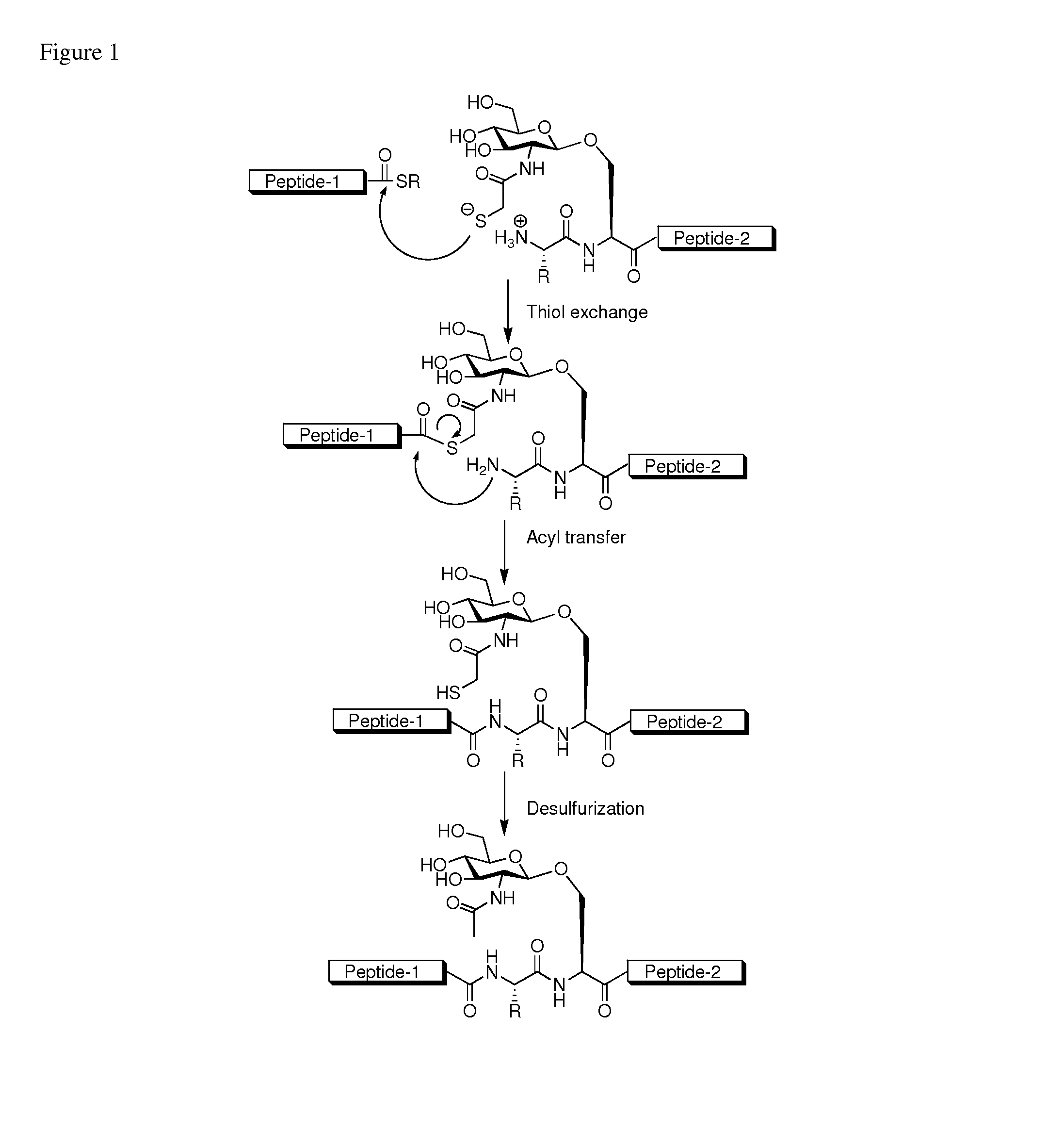 Method of preparing glycopeptides