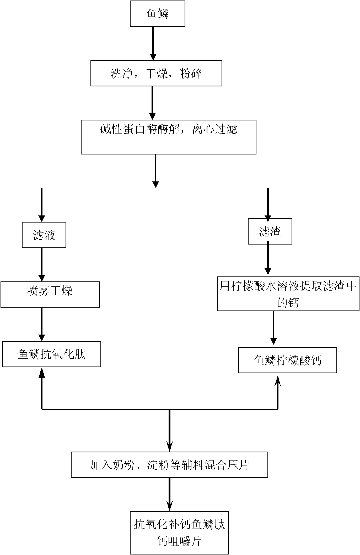 A compound fish scale peptide and calcium compound chewable tablet for antioxidation and calcium supplementing and a preparation method thereof