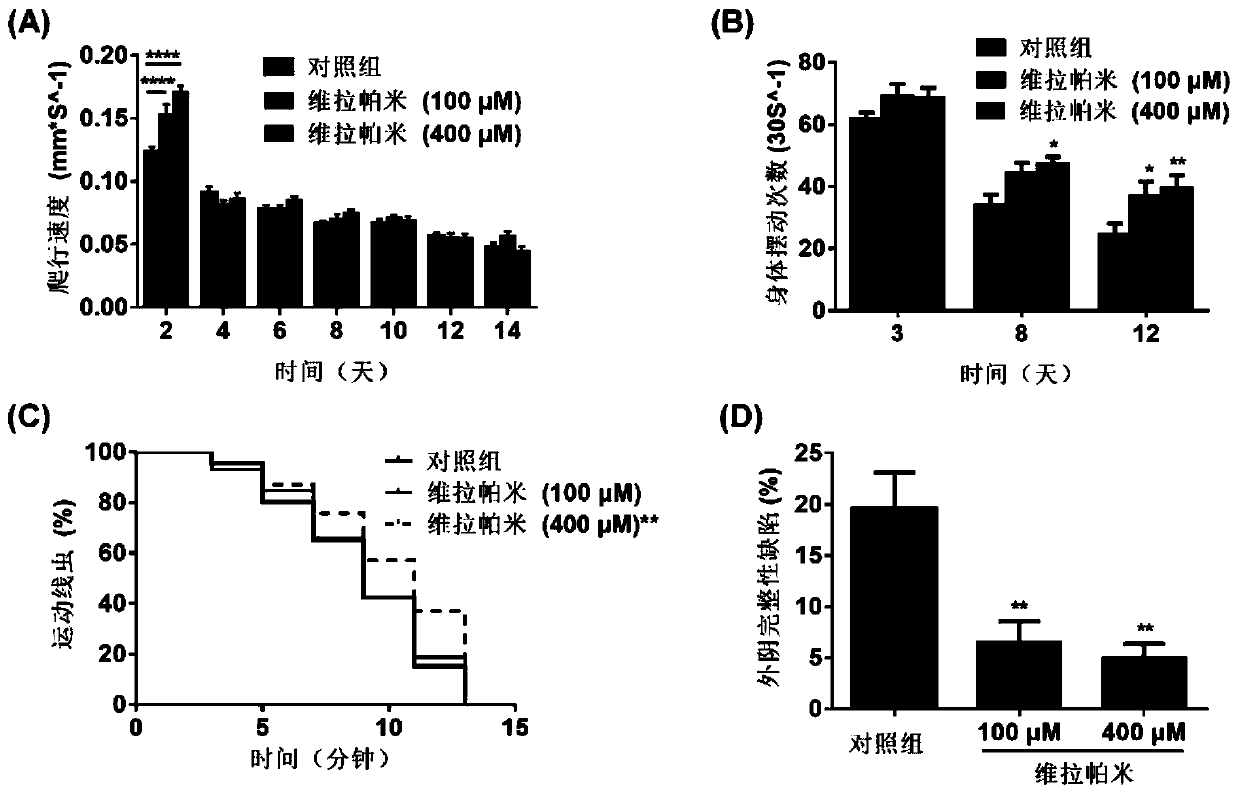 Ageing resisting purpose of verapamil