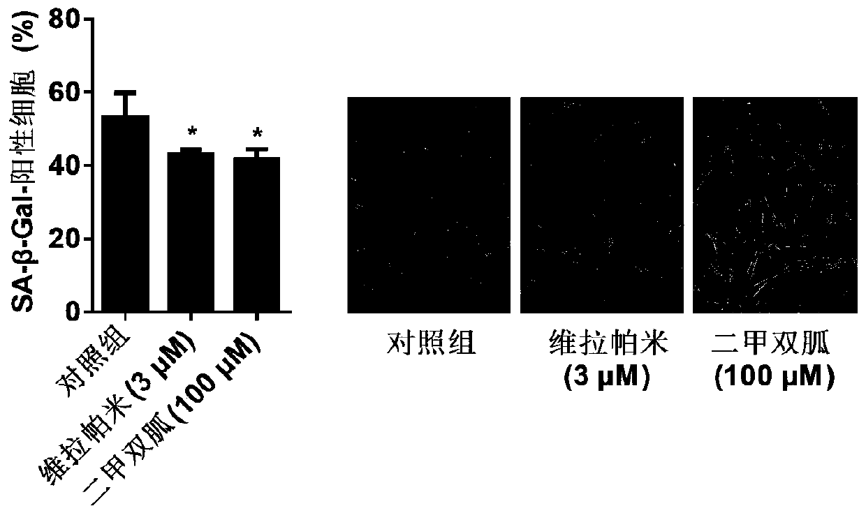 Ageing resisting purpose of verapamil