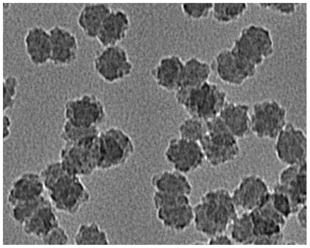 Silica sol with convex colloid surface, preparation method and application of silica sol