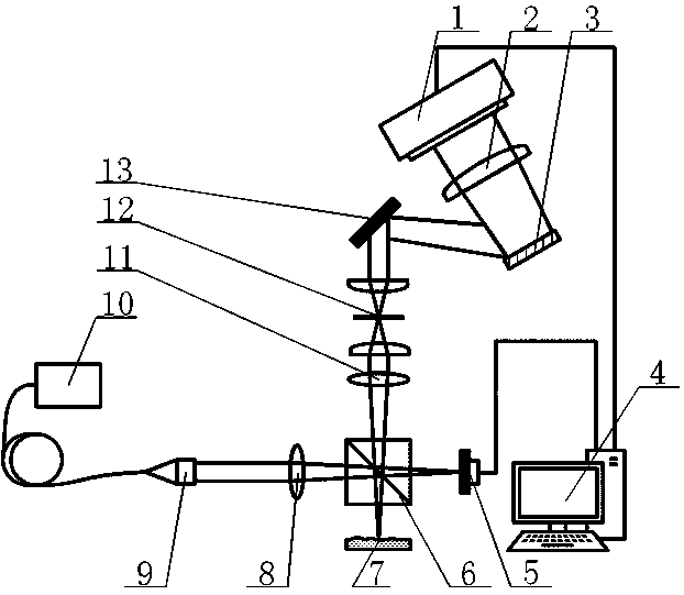 OCT conjugated mirror image removal device and method capable of eliminating multicolor errors