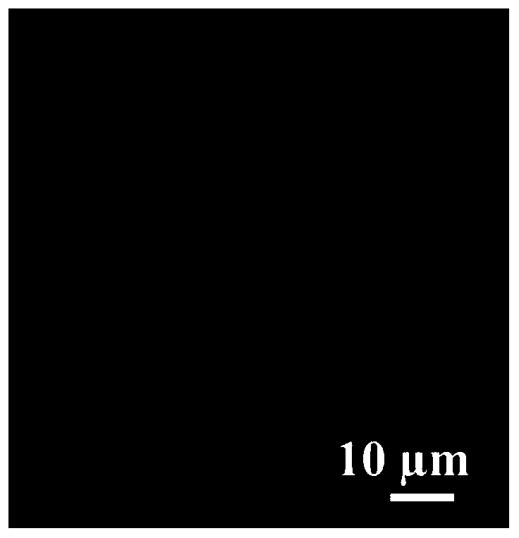 Phenol recognition SERS probe, preparation and application thereof, and universal ultra-sensitive immunoassay method based on SERS