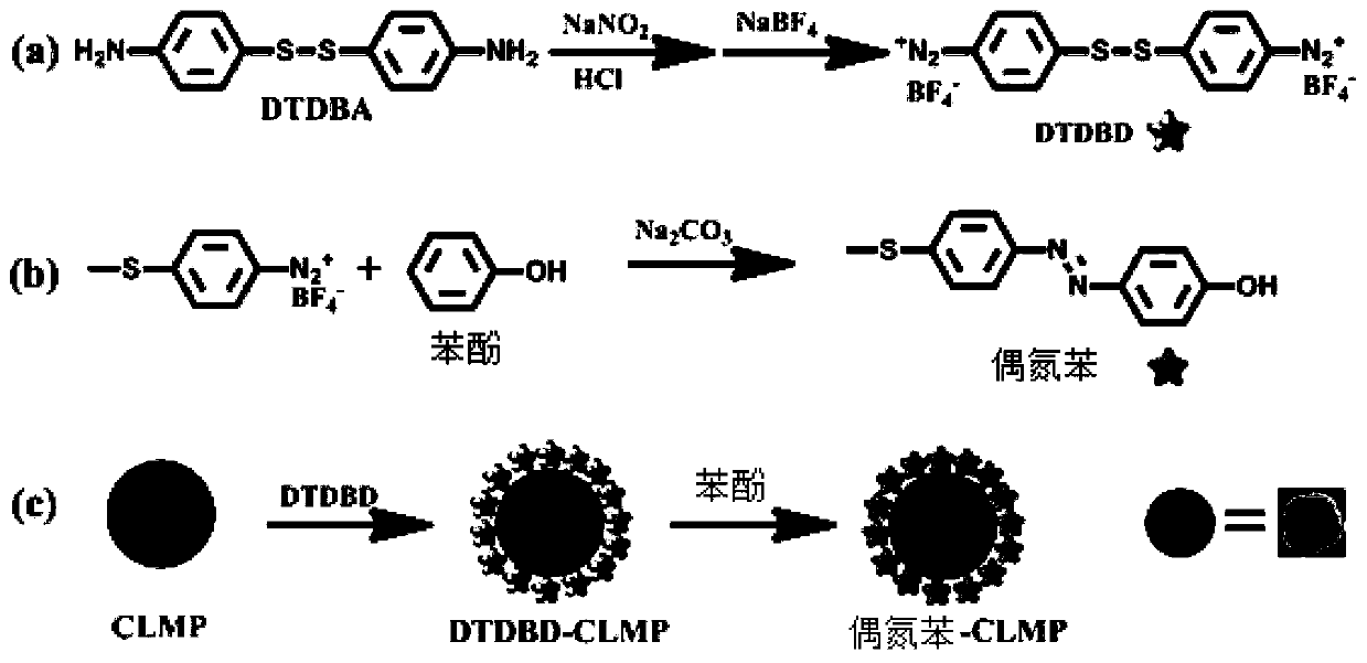 Phenol recognition SERS probe, preparation and application thereof, and universal ultra-sensitive immunoassay method based on SERS