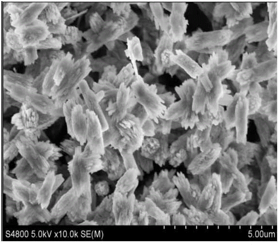 Method for preparing 2,6-dimethylnaphthalene by catalyzing naphthalene alkylation reaction with CoAPO-11 molecular sieve