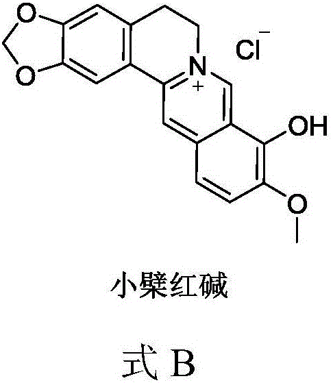 Berberine drug as well as preparation method and application thereof