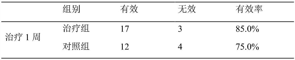 Traditional Chinese medicine composition for treating allergic conjunctivitis and/or allergic rhinitis