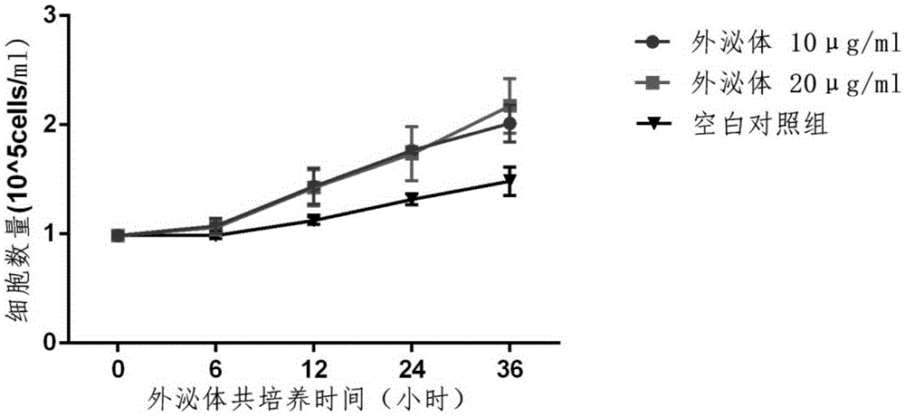 Method for promoting human bone mesenchymal stem cell proliferation based on exosome