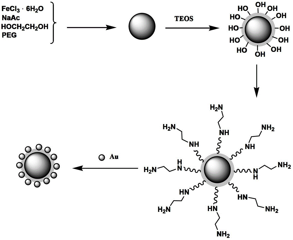 Magnetic gold nanoparticle composite material, and preparation method and application thereof