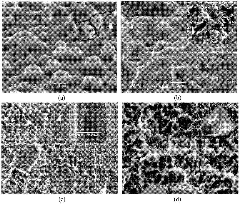 Preparation method for wettability controllable porous structure of titanium and titanium alloy surface