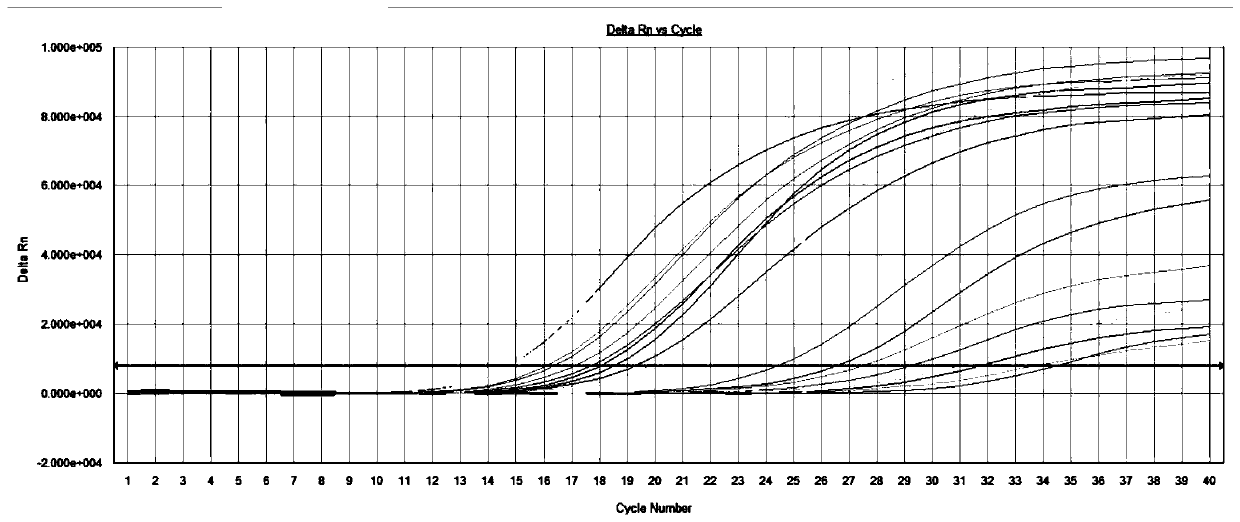 Combined detection kit and detection method for viruses associated with respiratory infection nucleic acid