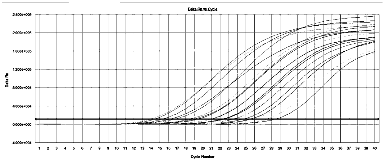 Combined detection kit and detection method for viruses associated with respiratory infection nucleic acid