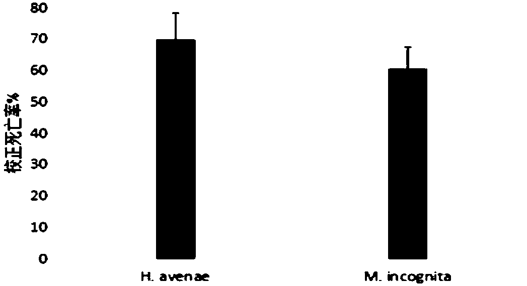 Bacillus cereus for preventing and controlling plant nematodes and application thereof