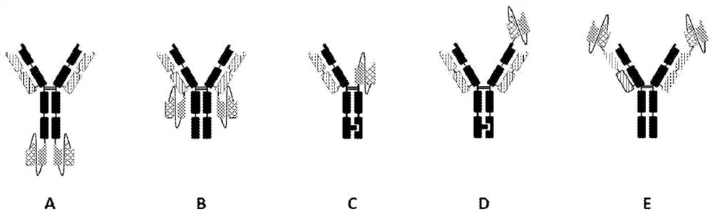 Anti-ror1/Anti-cd3 bispecific binding molecules