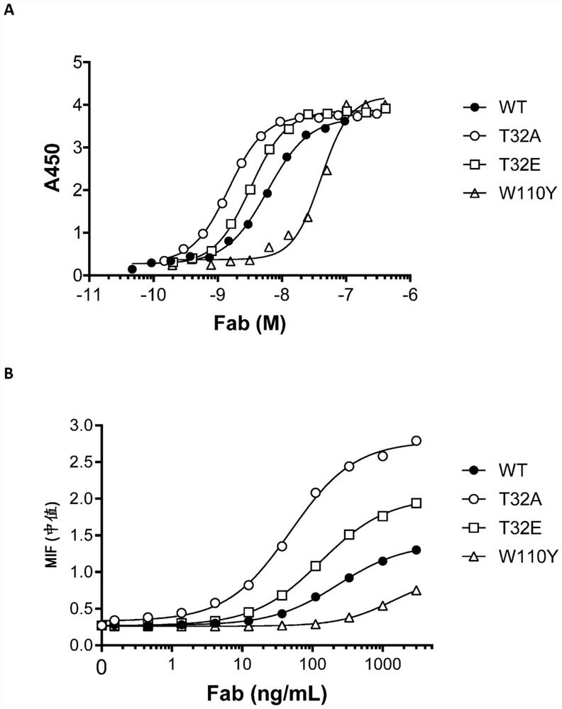 Anti-ror1/Anti-cd3 bispecific binding molecules