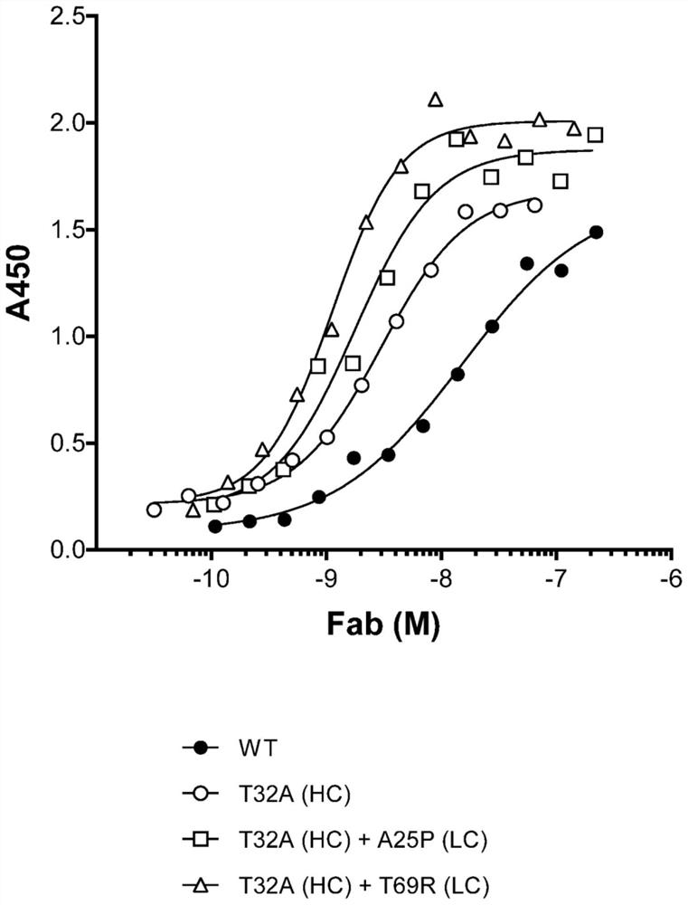 Anti-ror1/Anti-cd3 bispecific binding molecules