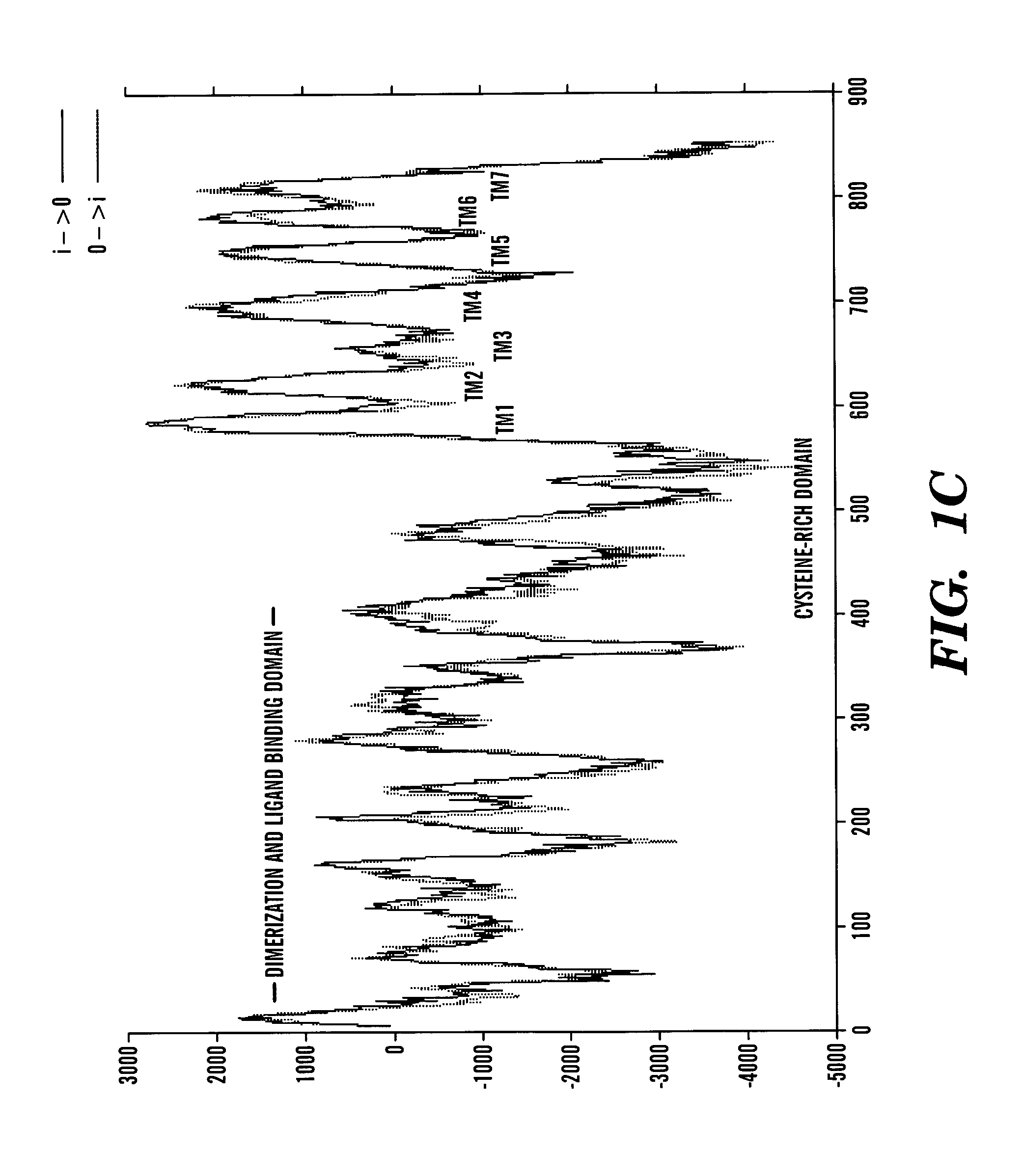 T1R3 transgenic animals, cells and related methods