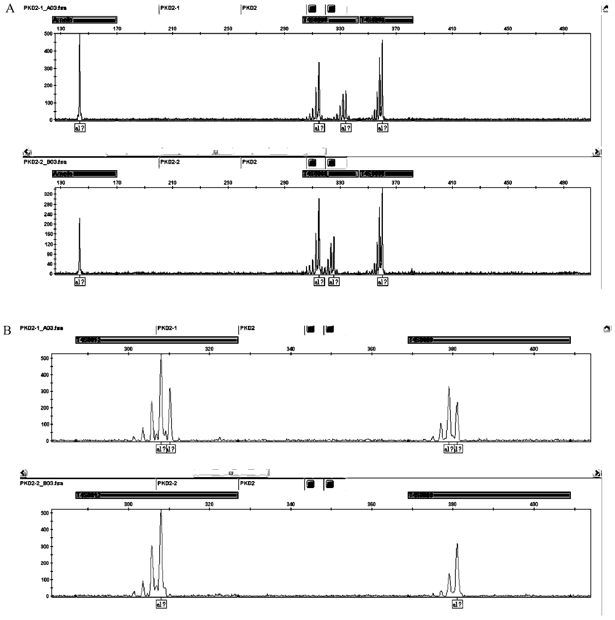 The str site of pkd2 gene and its application