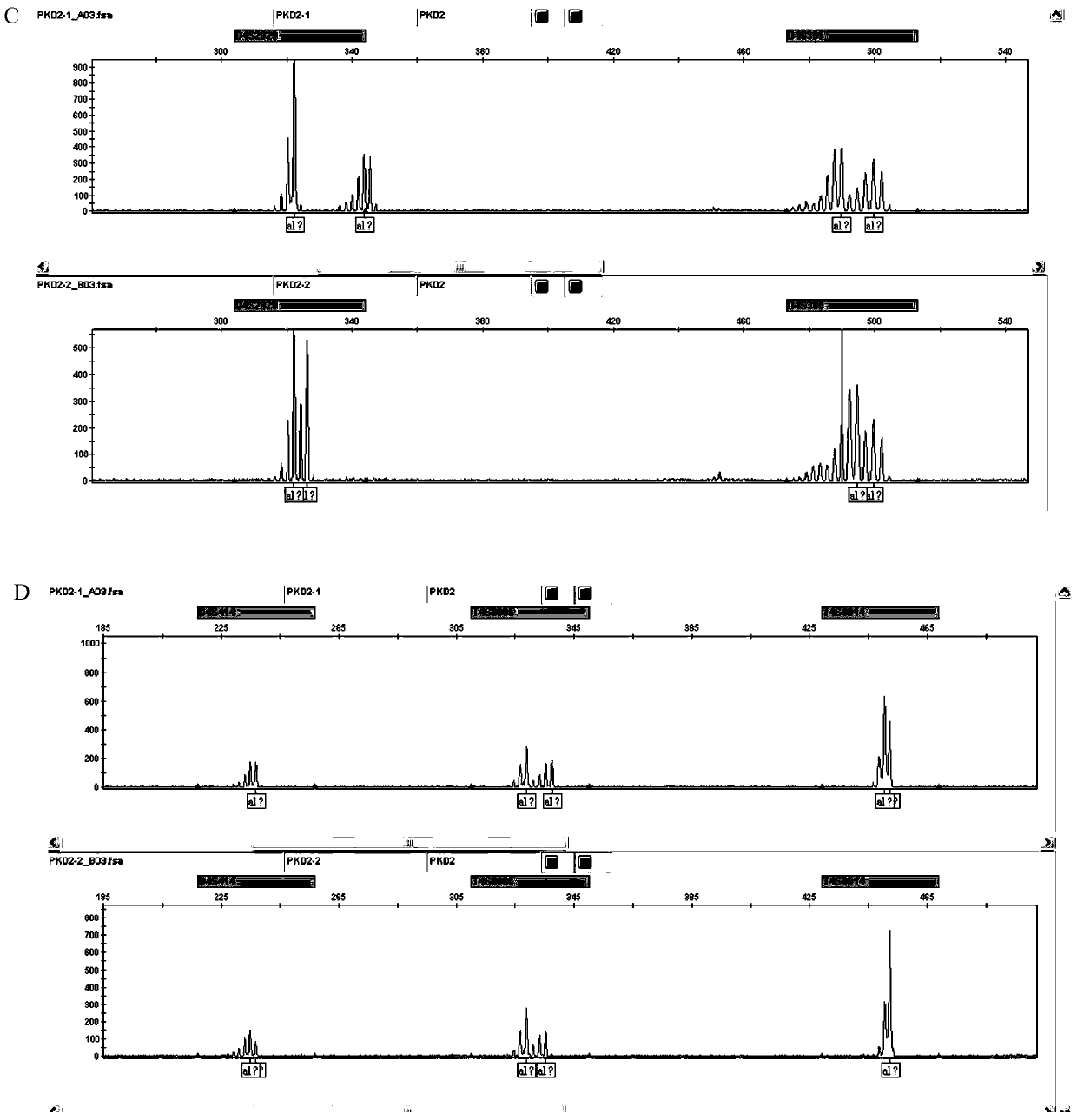 The str site of pkd2 gene and its application