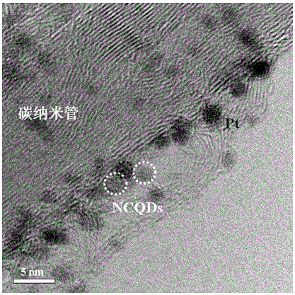 A kind of preparation method of platinum-based/nitrogen-doped carbon quantum dot-carbon nanotube catalyst