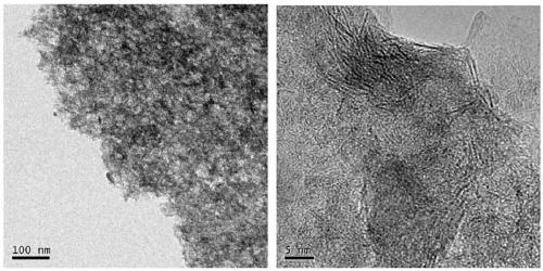 Molybdenum disulfide nanosheet/porous graphitized biocarbon composite material and preparation method and application thereof