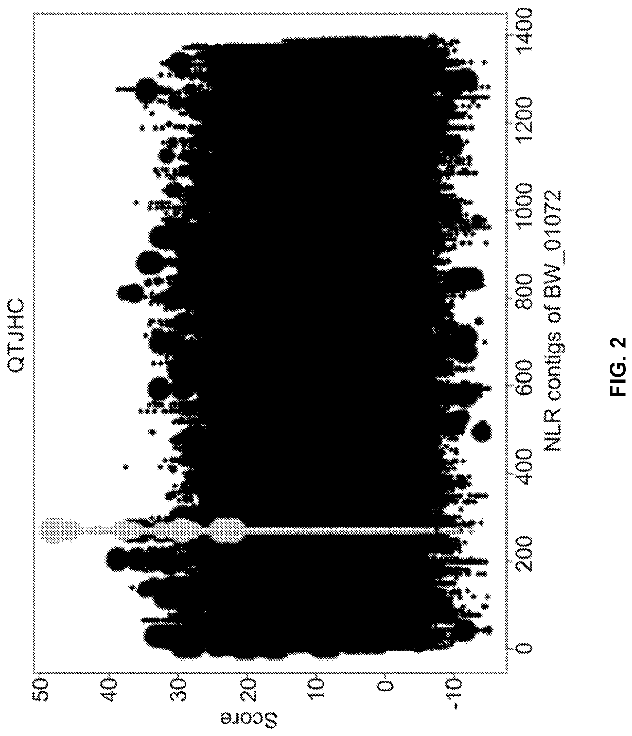 Stem rust resistance genes and methods of use