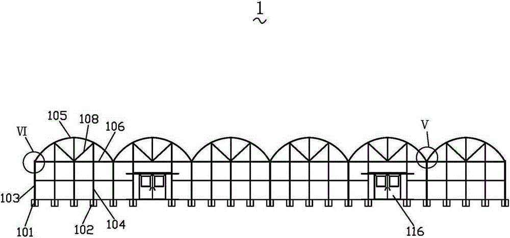 Lianwu dedicated greenhouse