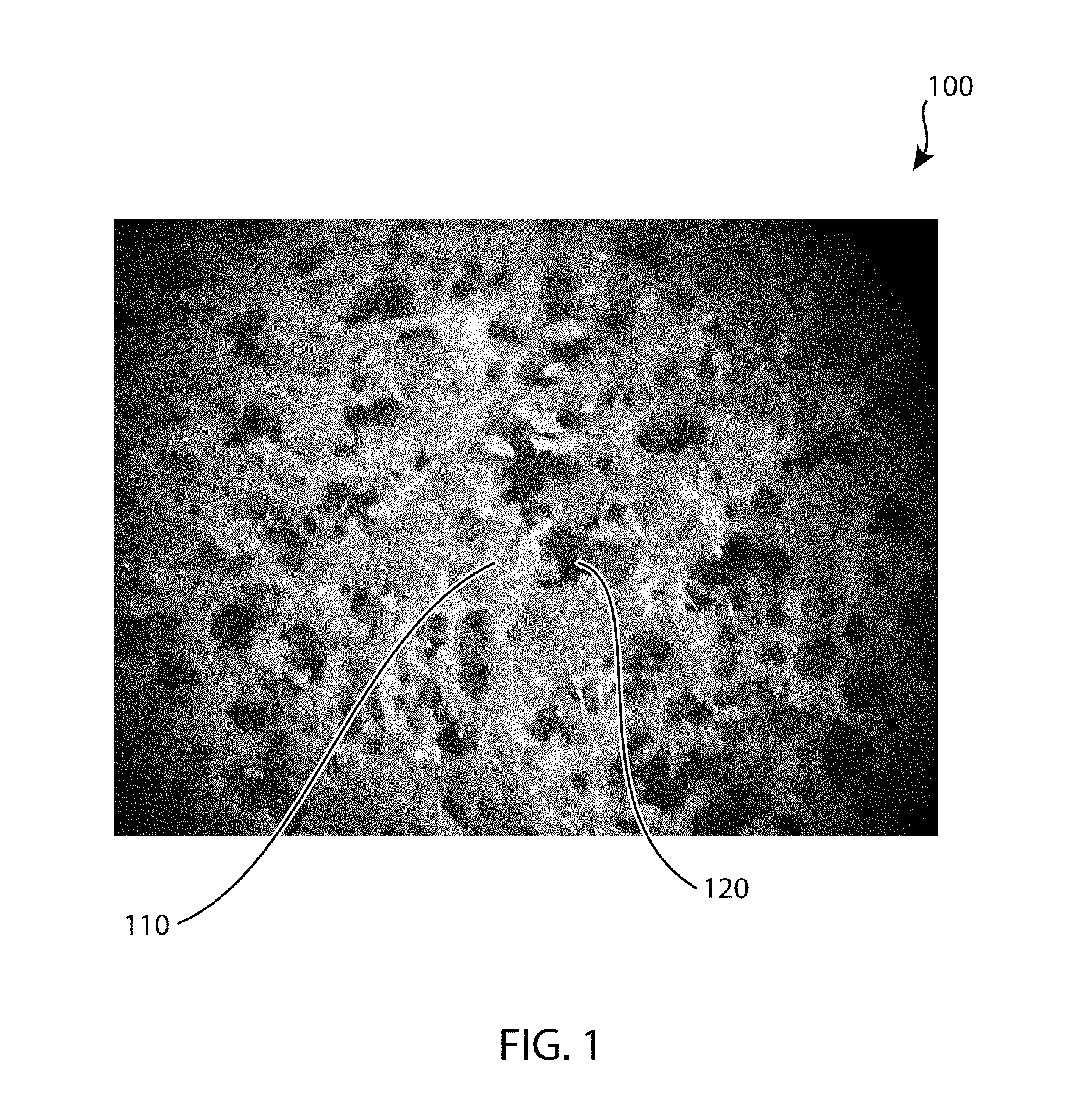 Devices and Methods for Tissue Engineering