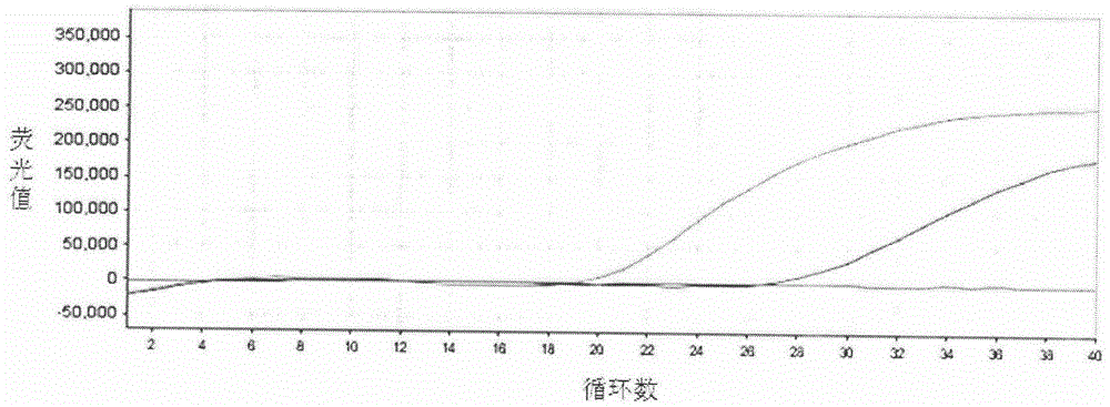 Taqman-MGB fluorescent quantitative PCR kit and method for detecting 12 common viruses and bacteria of pig at same time