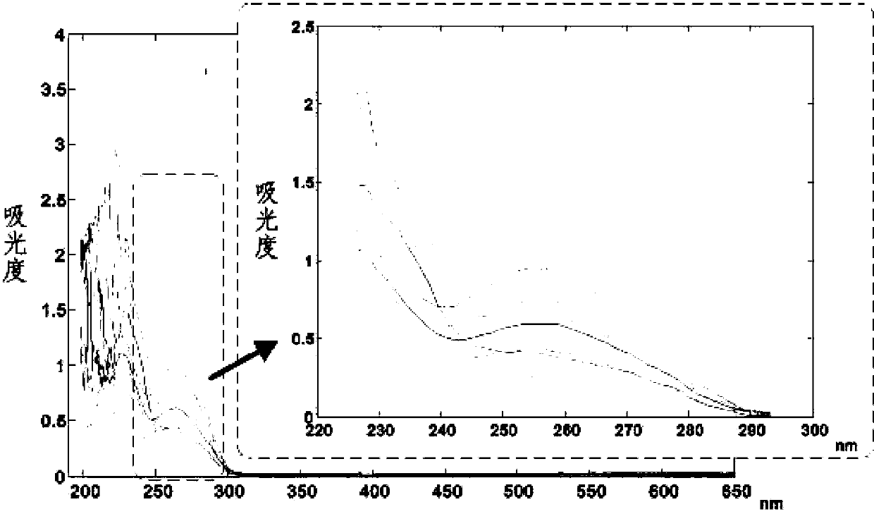 Method for measuring p-hydroxybenzoate in cosmetics