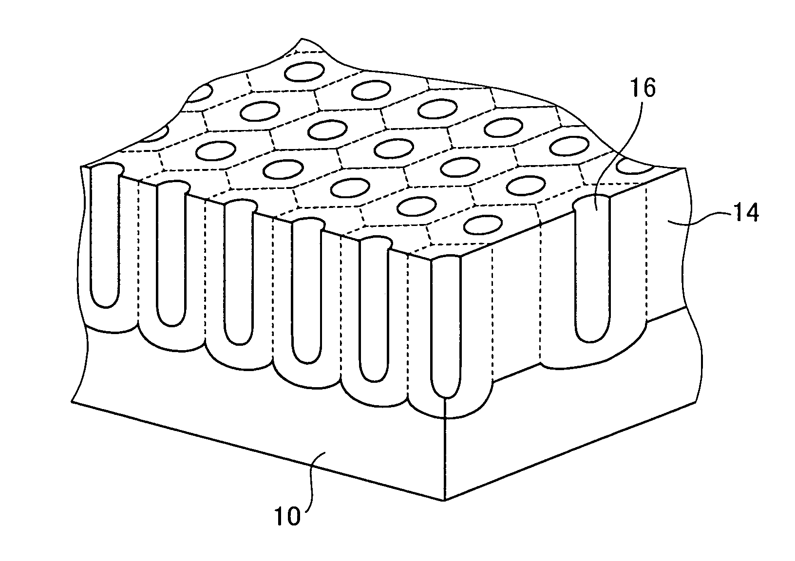 Fine structural body and method of producing the same