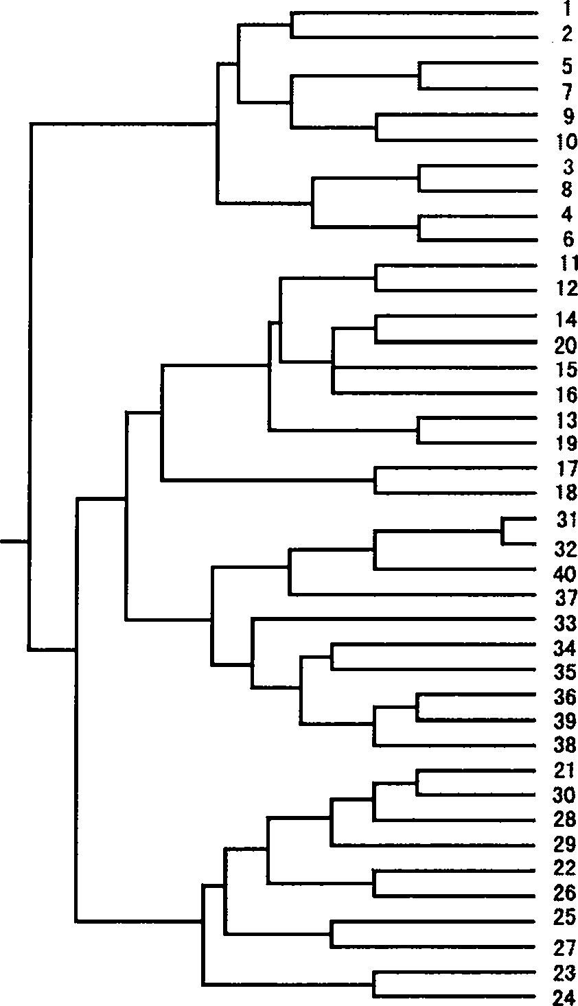 Multielement high flux genetic marking system and genetic analyzing method of Chinese mitten crabs