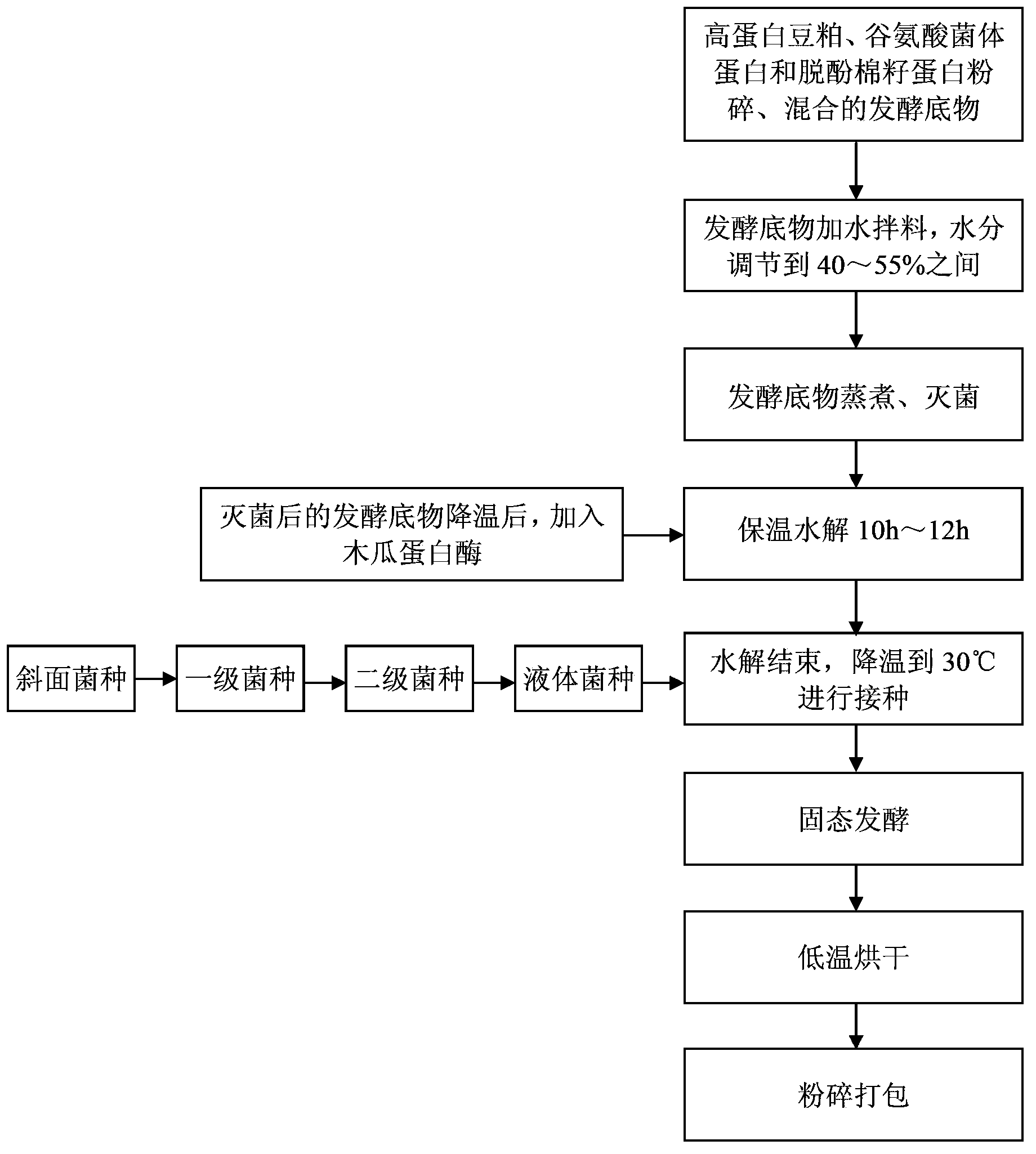 Method for producing high-efficiency biological peptide through enzymolysis and microbe fermentation