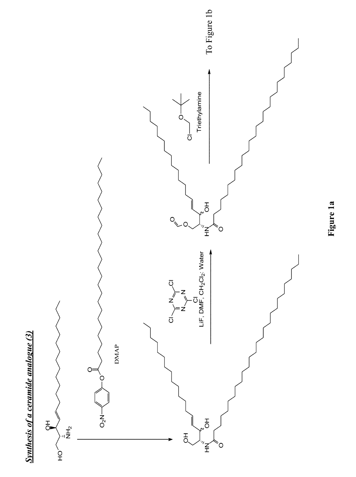 Multi-valent adjuvant display