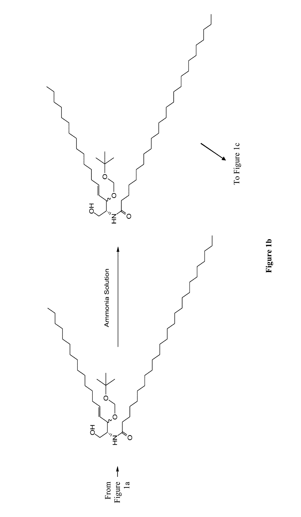 Multi-valent adjuvant display