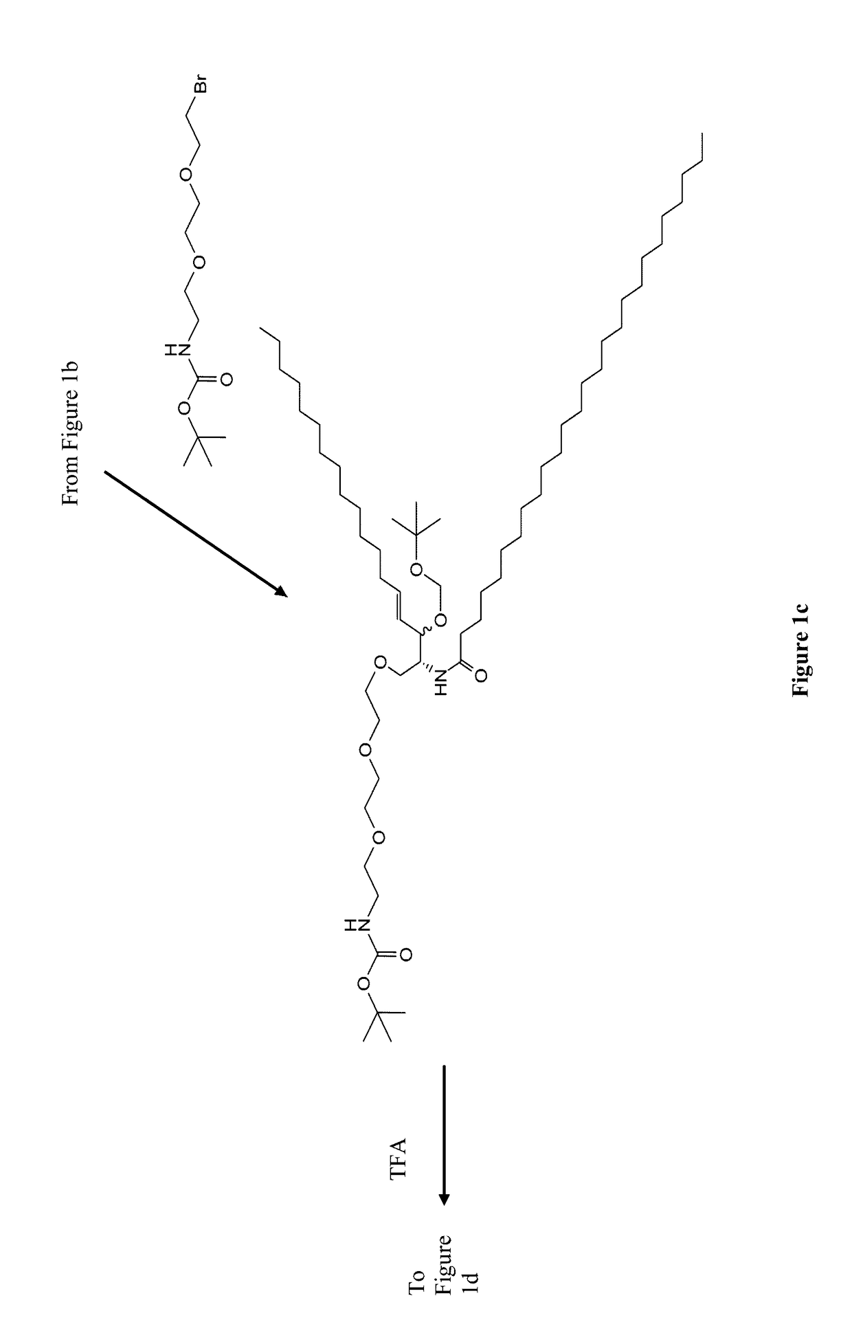 Multi-valent adjuvant display