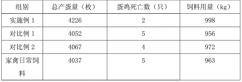 Poultry feed additive containing fermented Chinese yew, and preparation method and applications thereof