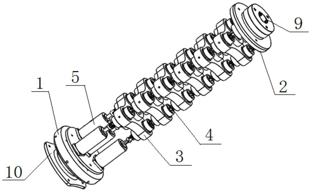 A bionic elephant trunk robotic arm