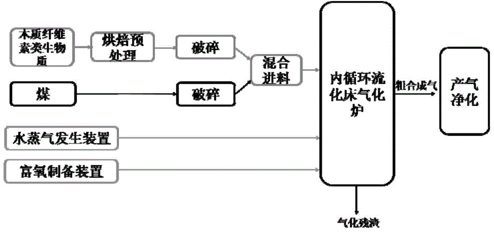 System and process for preparing synthetic gas through co-gasification of coal and biomass